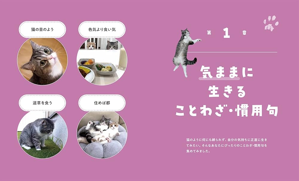 人生のヒントが見つかる もちまる日記ことわざ・慣用句 | 下僕